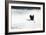 Silhouette Flight-Staffan Widstrand-Framed Giclee Print