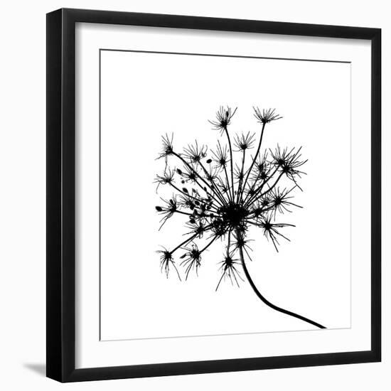 Silhouette L'esprit I-Monika Burkhart-Framed Photo