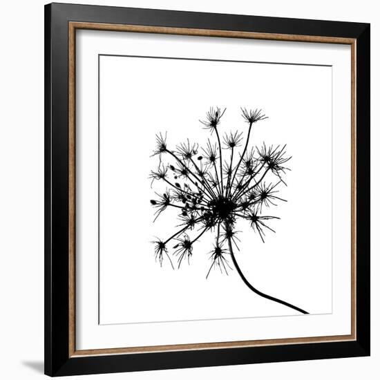 Silhouette L'esprit I-Monika Burkhart-Framed Photo