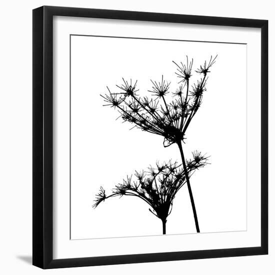 Silhouette L'esprit II-Monika Burkhart-Framed Photo