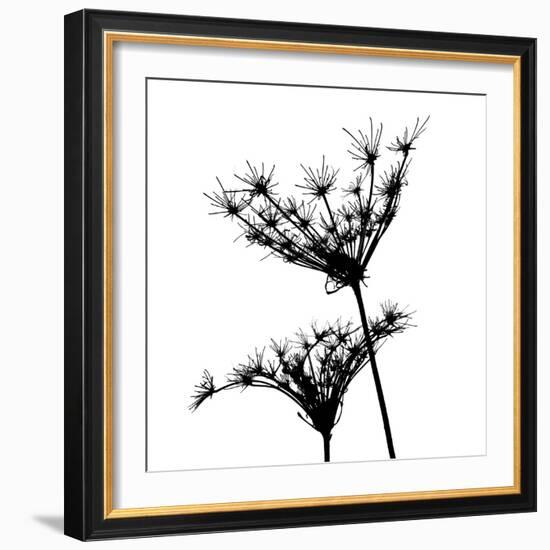 Silhouette L'esprit II-Monika Burkhart-Framed Photo