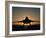 Silhouette of a F-22 Raptor-Stocktrek Images-Framed Photographic Print