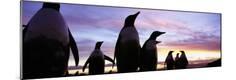 Premium Photographic Print