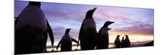 Premium Photographic Print