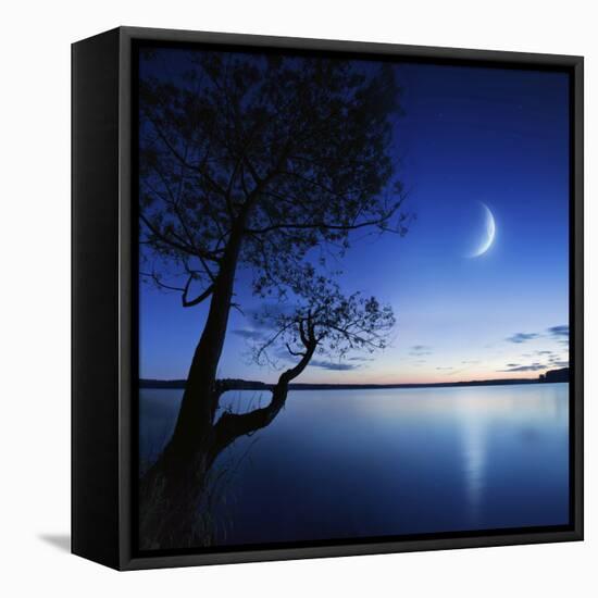 Silhouette of a Lonely Tree in a Lake Against a Starry Sky and Moon-null-Framed Premier Image Canvas