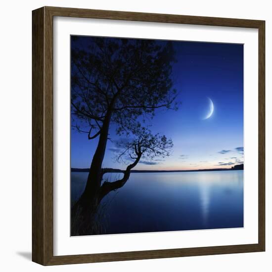 Silhouette of a Lonely Tree in a Lake Against a Starry Sky and Moon-null-Framed Photographic Print