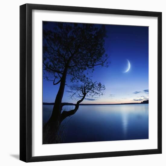 Silhouette of a Lonely Tree in a Lake Against a Starry Sky and Moon-null-Framed Photographic Print