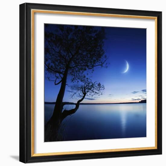 Silhouette of a Lonely Tree in a Lake Against a Starry Sky and Moon-null-Framed Photographic Print