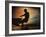 Silhouette of a Man Water Skiing-null-Framed Photographic Print