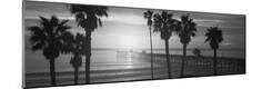 Premium Photographic Print