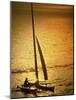 Silhouette of a Sailboat in the Sea-null-Mounted Photographic Print