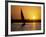 Silhouette of a traditional Egyptian Falucca, Nile River, Luxor, Egypt-Janis Miglavs-Framed Photographic Print