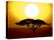 Stretched Canvas Print