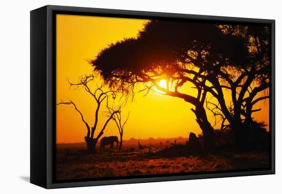 Silhouette of an African Elephant at Sunrise-Paul Souders-Framed Premier Image Canvas