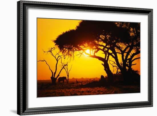 Silhouette of an African Elephant at Sunrise-Paul Souders-Framed Photographic Print