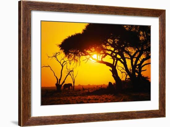 Silhouette of an African Elephant at Sunrise-Paul Souders-Framed Photographic Print