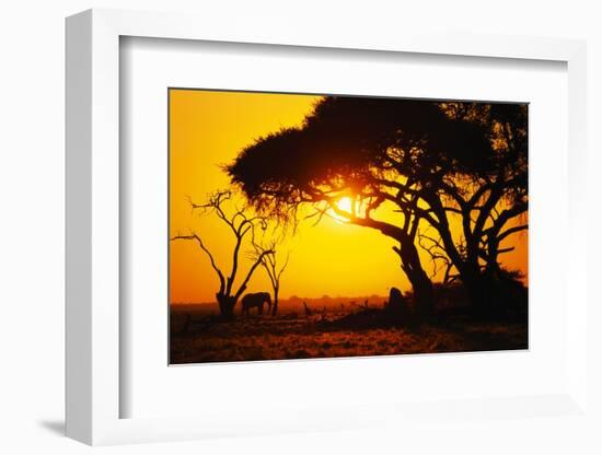 Silhouette of an African Elephant at Sunrise-Paul Souders-Framed Photographic Print