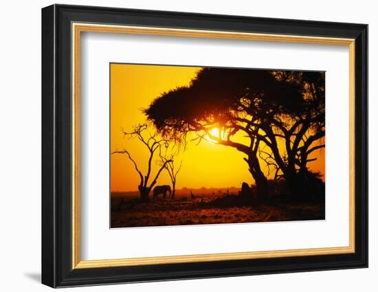 Silhouette of an African Elephant at Sunrise-Paul Souders-Framed Photographic Print