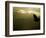 Silhouette of Bald Eagle Flying Against Mountains and Sky, Homer, Alaska, USA-Arthur Morris-Framed Photographic Print