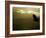 Silhouette of Bald Eagle Flying Against Mountains and Sky, Homer, Alaska, USA-Arthur Morris-Framed Photographic Print