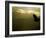 Silhouette of Bald Eagle Flying Against Mountains and Sky, Homer, Alaska, USA-Arthur Morris-Framed Photographic Print