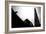 Silhouette of Bird-Rory Garforth-Framed Photographic Print