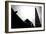 Silhouette of Bird-Rory Garforth-Framed Photographic Print