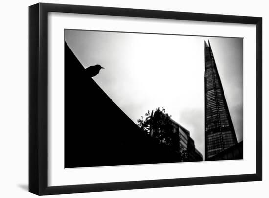 Silhouette of Bird-Rory Garforth-Framed Photographic Print