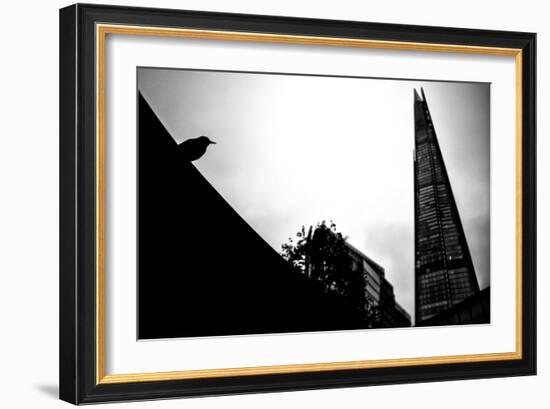 Silhouette of Bird-Rory Garforth-Framed Photographic Print