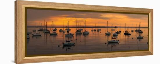 Silhouette of boats in Atlantic ocean at dusk, Rockland Harbor, Rockland, Knox County, Maine, USA-null-Framed Premier Image Canvas