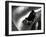 Silhouette of Bobsled in Action, Park City, Utah, USA-Chris Trotman-Framed Photographic Print