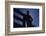 Silhouette of Boy Leaning Against Fence-William P. Gottlieb-Framed Photographic Print