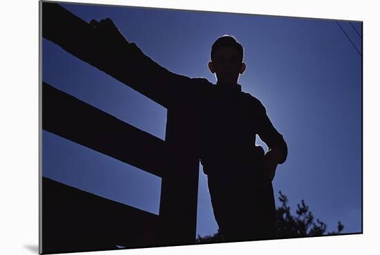 Silhouette of Boy Leaning Against Fence-William P. Gottlieb-Mounted Photographic Print