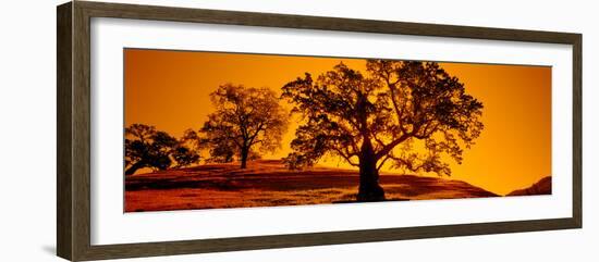 Silhouette of California Oaks Trees, Central Coast, California, USA-null-Framed Photographic Print