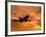 Silhouette of Commercial Airplane at Sunset-Mitch Diamond-Framed Photographic Print