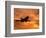 Silhouette of Commercial Airplane at Sunset-Mitch Diamond-Framed Photographic Print