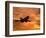 Silhouette of Commercial Airplane at Sunset-Mitch Diamond-Framed Photographic Print