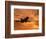 Silhouette of Commercial Airplane at Sunset-Mitch Diamond-Framed Photographic Print