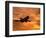 Silhouette of Commercial Airplane at Sunset-Mitch Diamond-Framed Photographic Print