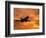 Silhouette of Commercial Airplane at Sunset-Mitch Diamond-Framed Photographic Print