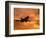 Silhouette of Commercial Airplane at Sunset-Mitch Diamond-Framed Photographic Print