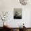 Silhouette of Cow Parsley-David Ridley-Photographic Print displayed on a wall