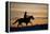 Silhouette of Cowboy in Wyoming-Darrell Gulin-Framed Premier Image Canvas