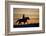 Silhouette of Cowboy in Wyoming-Darrell Gulin-Framed Photographic Print