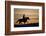 Silhouette of Cowboy in Wyoming-Darrell Gulin-Framed Photographic Print