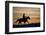 Silhouette of Cowboy in Wyoming-Darrell Gulin-Framed Photographic Print