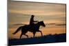 Silhouette of Cowboy in Wyoming-Darrell Gulin-Mounted Photographic Print