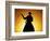 Silhouette of Cowboy on Horse Holding Rope-Darrell Gulin-Framed Photographic Print