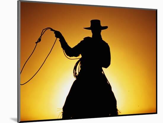 Silhouette of Cowboy on Horse Holding Rope-Darrell Gulin-Mounted Photographic Print