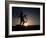 Silhouette of Cyclistist at Sunrise, Boulder, Colorado, USA-null-Framed Photographic Print